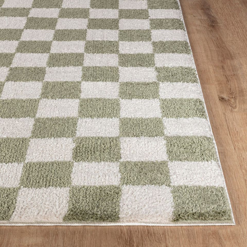 green checker shaggy rug closeup corner on wood floor