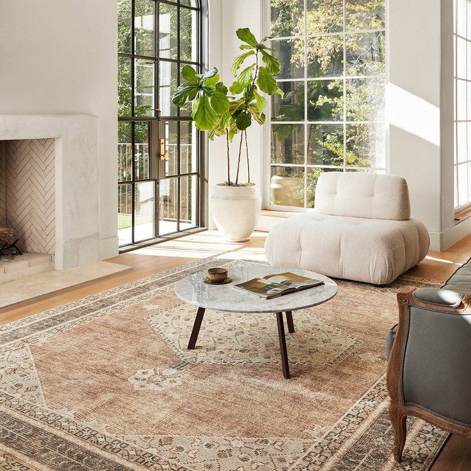 cinnamon traditional rug in a room with matching decor