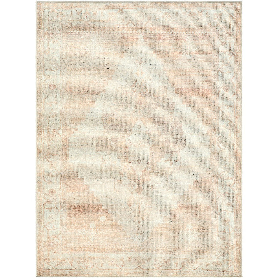 blush traditional rug portrait