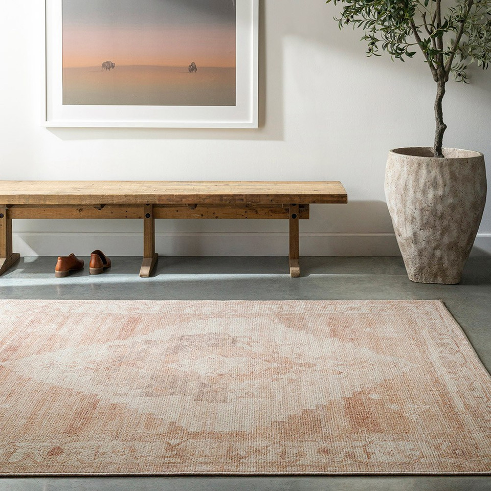 blush traditional rug in a room with matching decor
