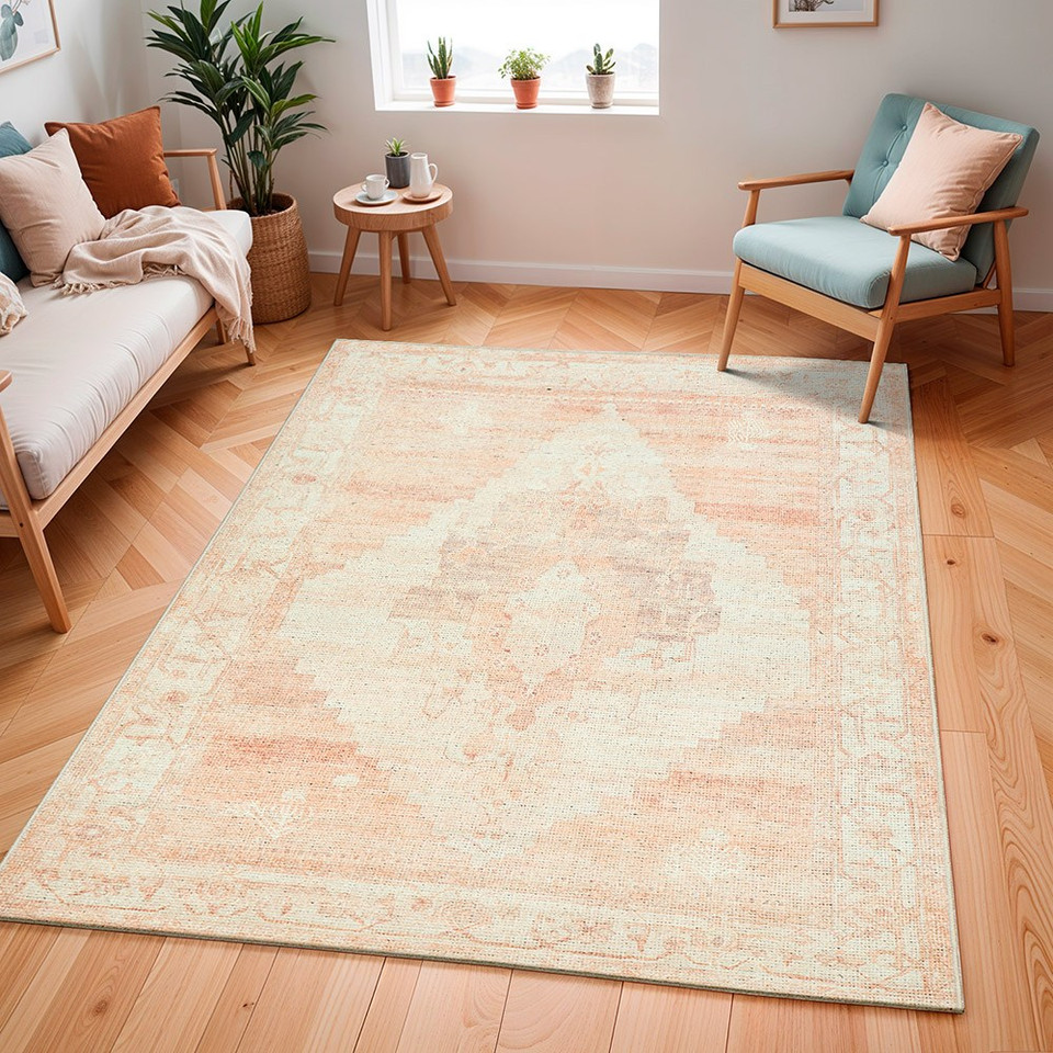 blush traditional rug in a room with matching decor