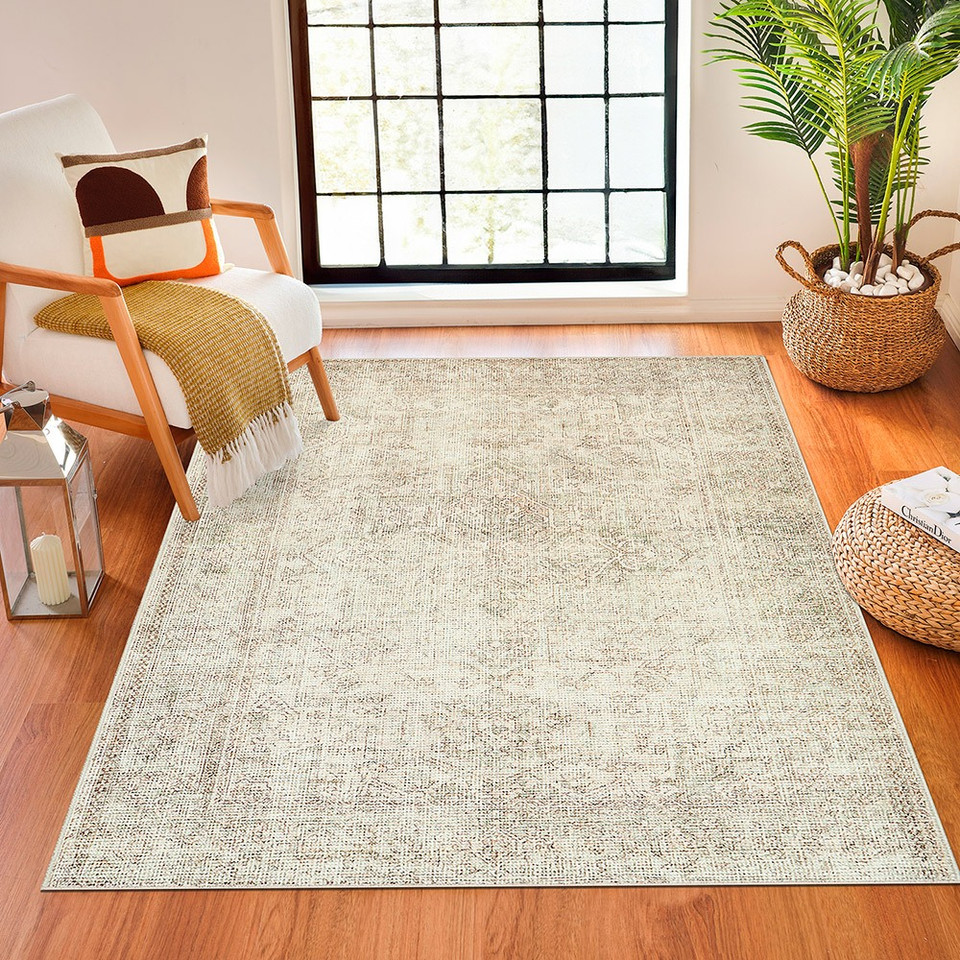 sage traditional rug in a room with matching decor