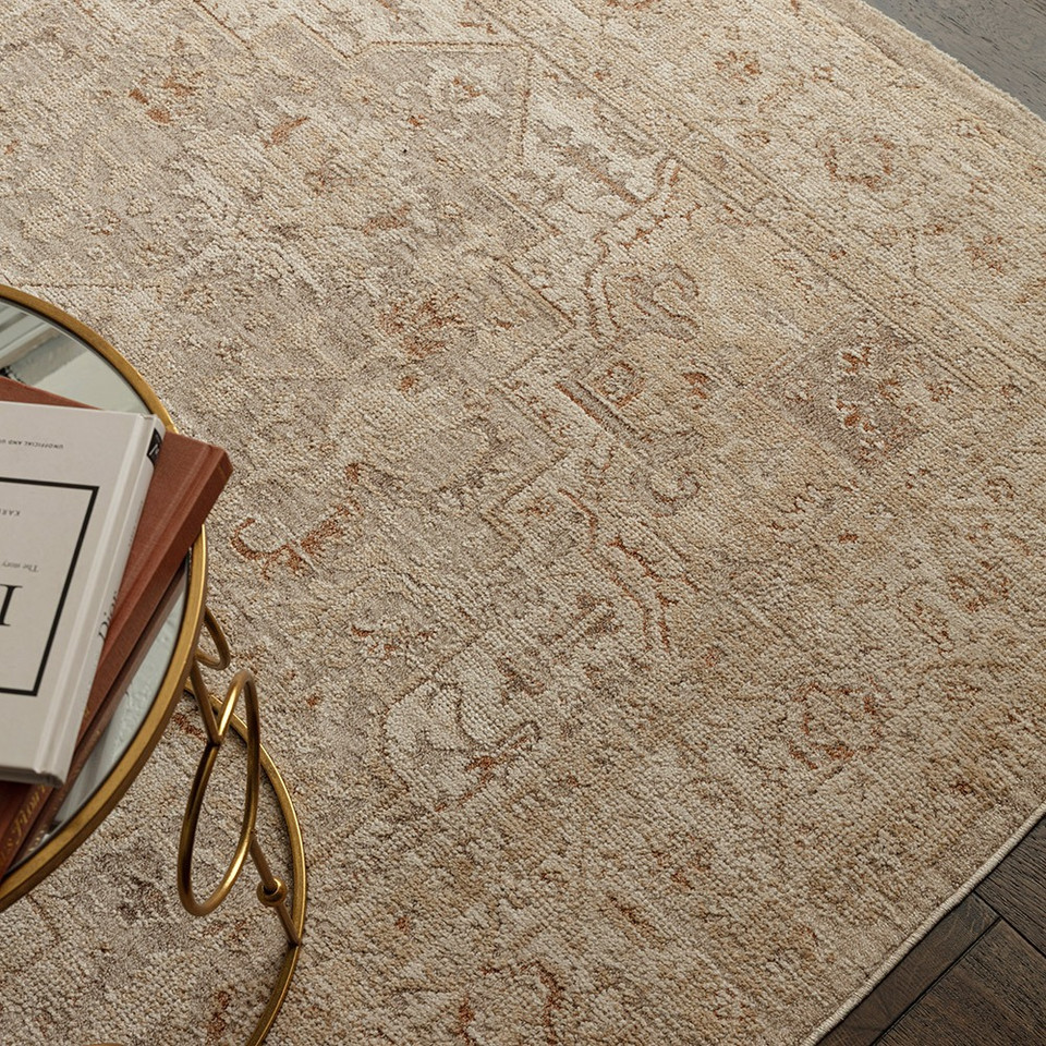 beige  traditional rug in a living room with matching decor