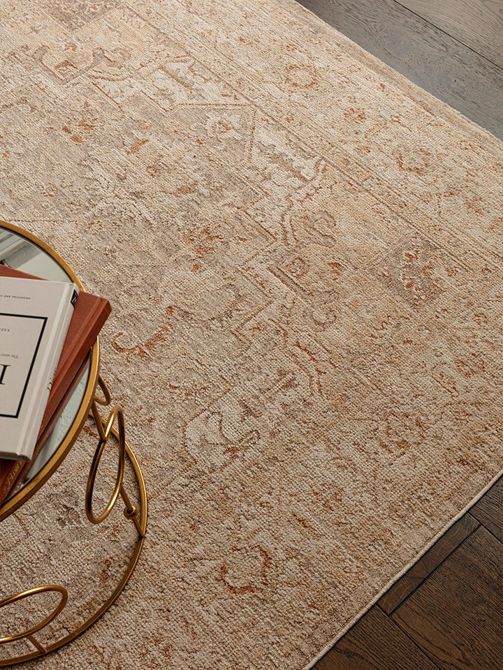 beige  traditional rug in a living room with matching decor