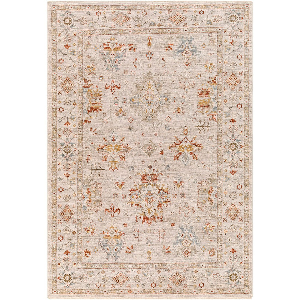Avant Garde Vintage Traditional Grey Rug