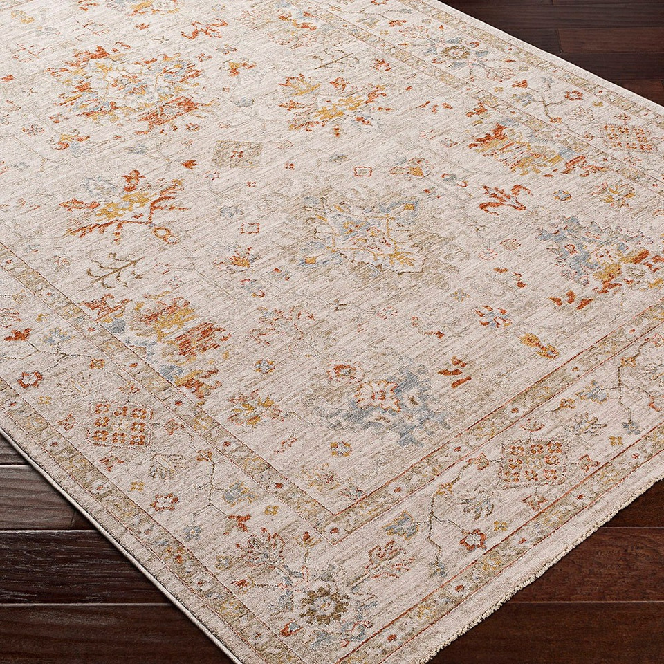 Avant Garde Vintage Traditional Grey Rug