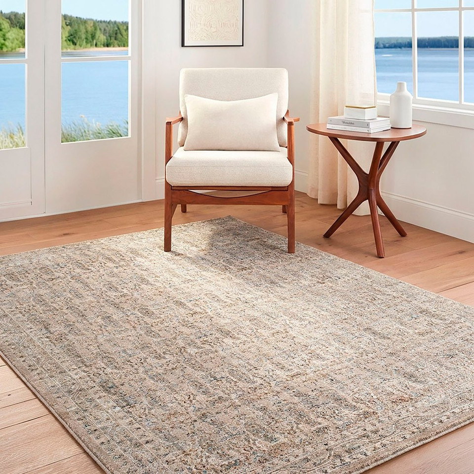 Arda Vintage Traditional Light Grey Rug