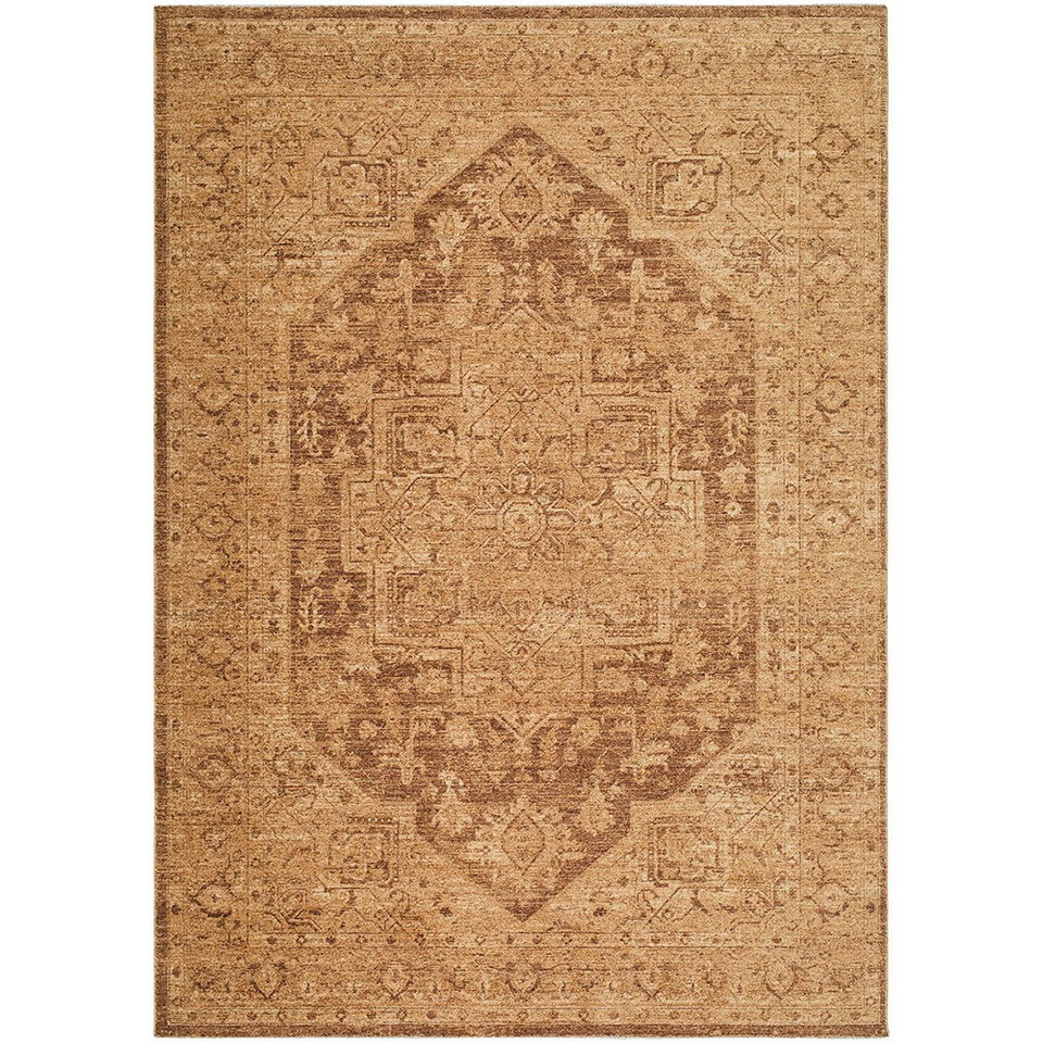 Cyrus Vintage Traditional Brown Rug