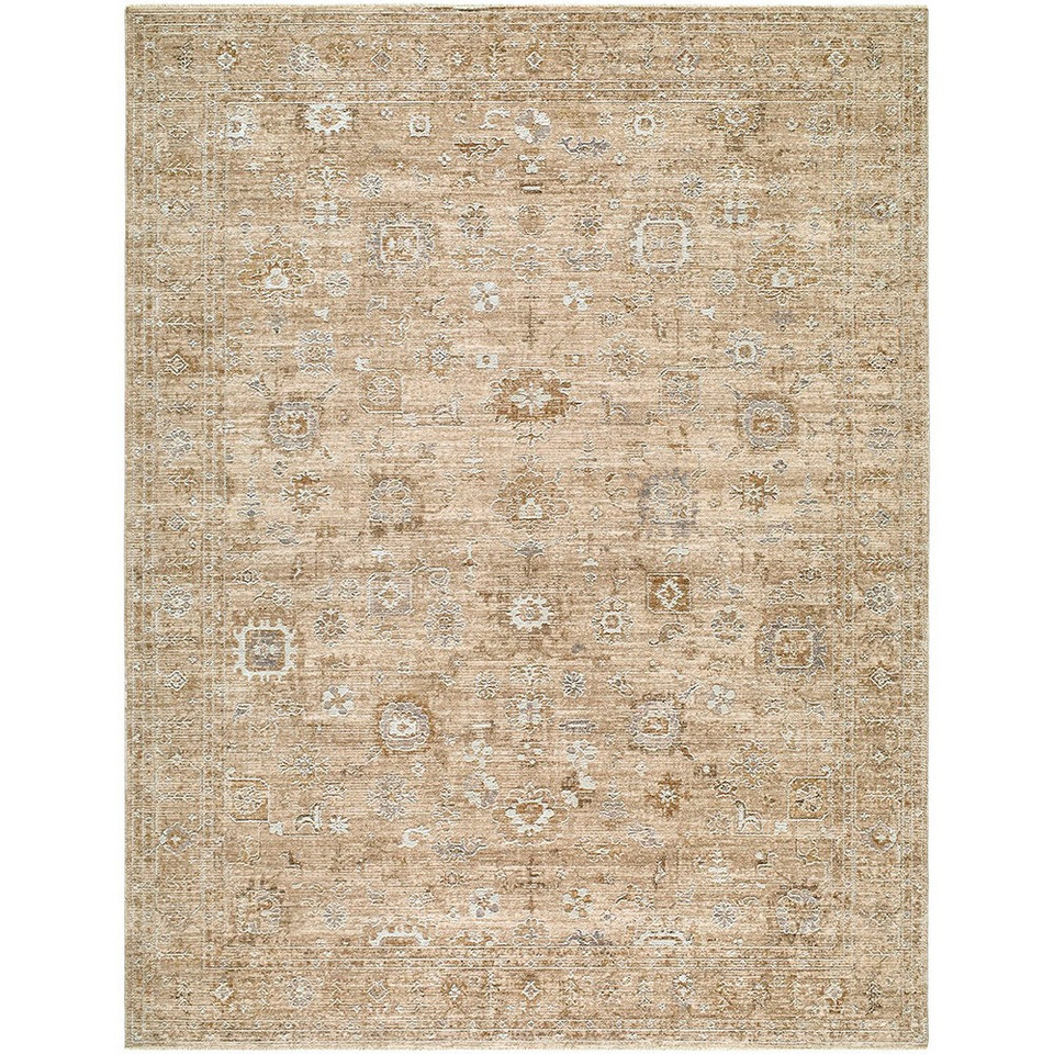 Penny 00 Vintage Traditional Brown Rug by Becki Owens x Livabliss