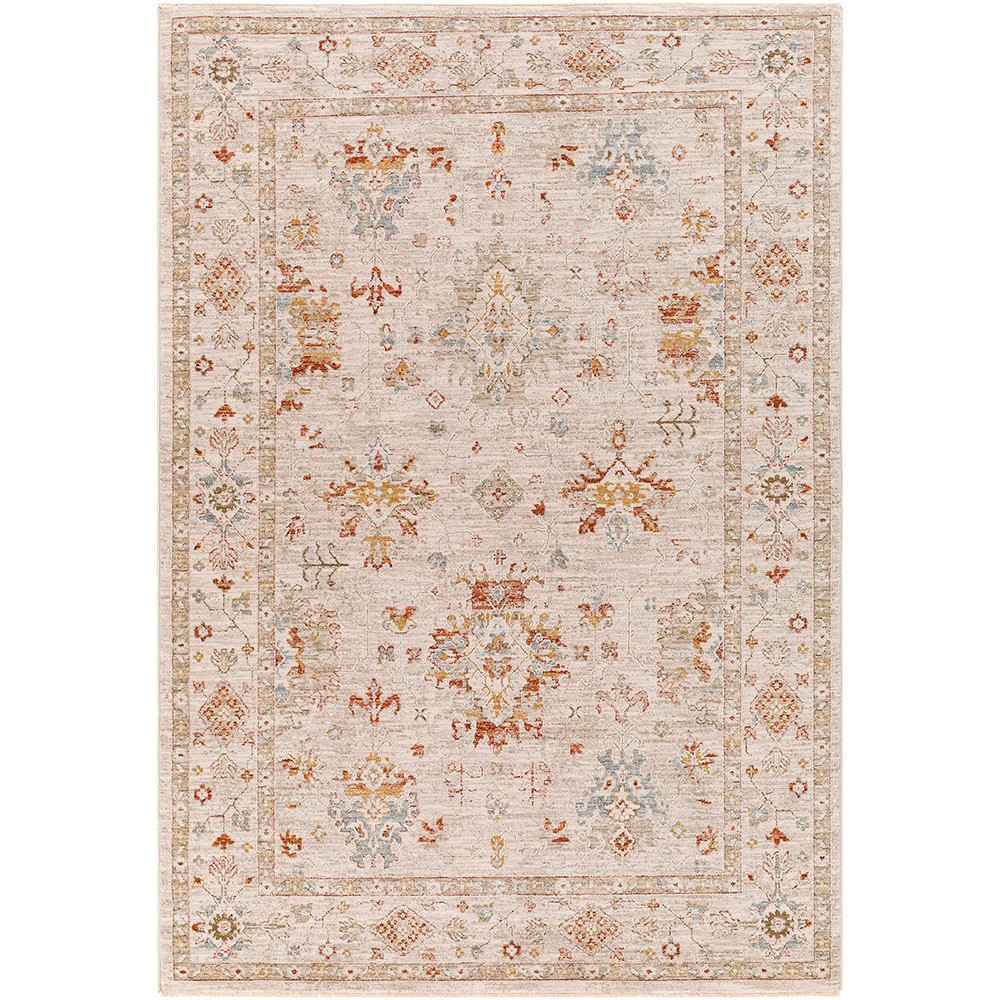 Avant Garde Vintage Traditional Grey Rug