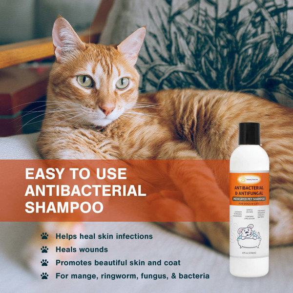 Lime Sulfur Pet Shampoo - Pet Care and Veterinary Solution for Itchy and Dry Skin - Safe for Dog, Cat, Puppy, Kitten, Horse