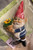 Gnome measures 3" tall.