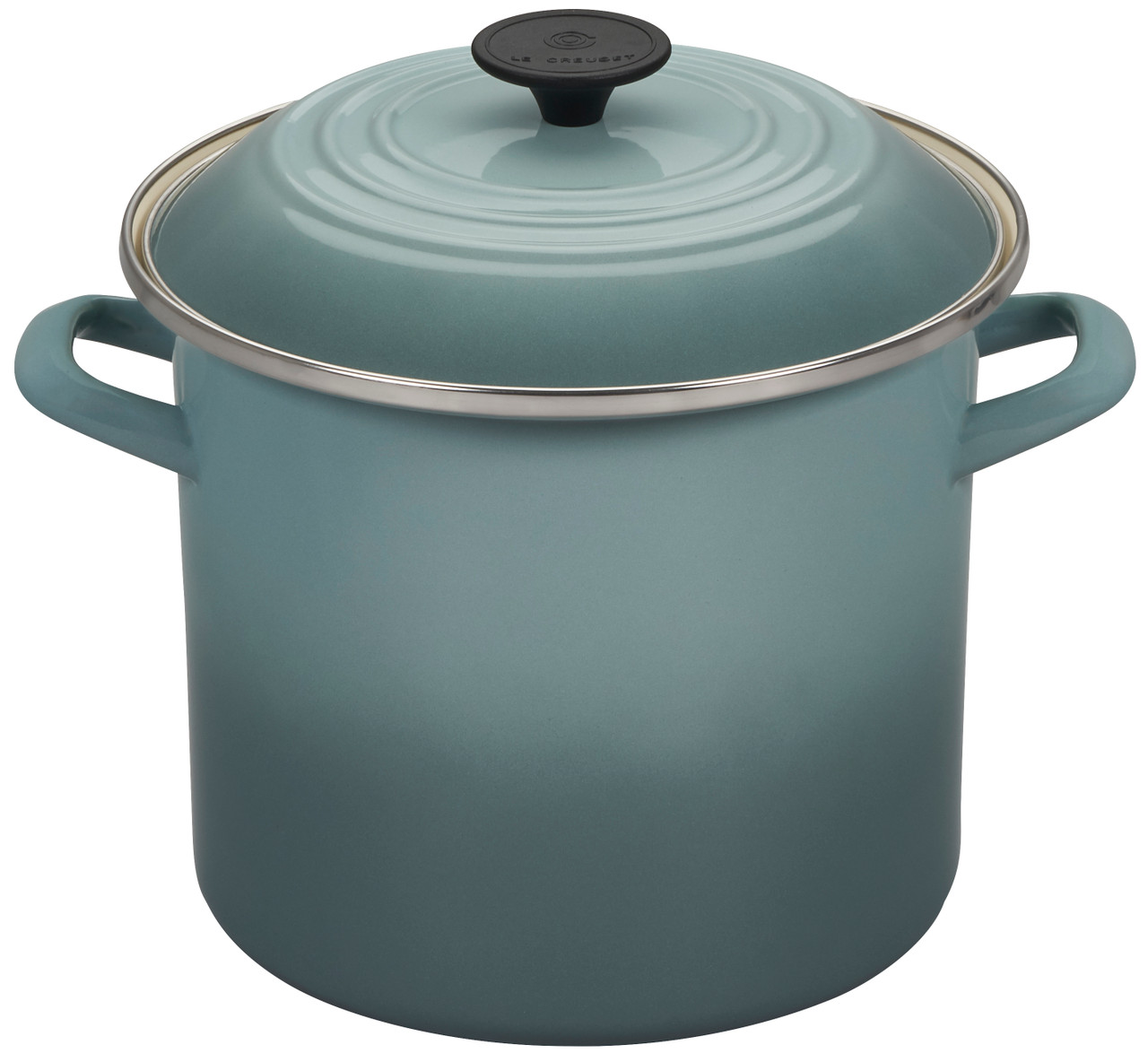 Le Creuset Enamel on Steel 8 Quart Stockpot - Sea Salt