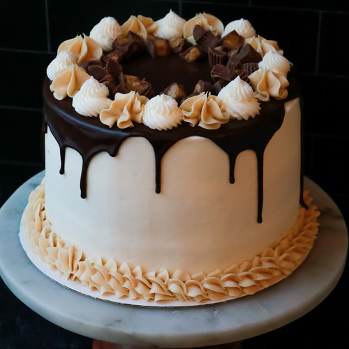 JAN 17 2026 10:30AM Cake Decorating 101 Hands On