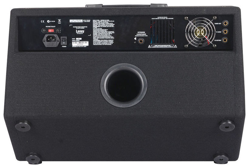 RICHTER bass combo/monitor: 300 watts, 2x10