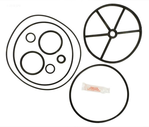 Pentair 261055 Multiport Valve Repair Kit