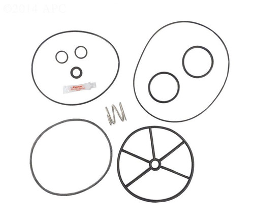 Pentair 261055 Multiport Valve Repair Kit with Spring