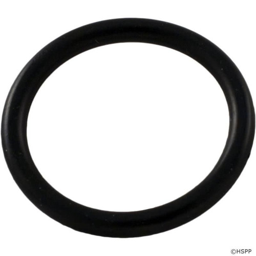 Hayward SX200Z14 Drain Pipe O-Ring for S160T, S245T
