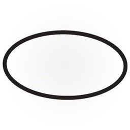 Waterway 805-0256 Hi-Flo Volute O-Ring