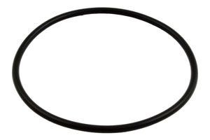 Hayward SPX1500P Power-Flo Lid O-Ring