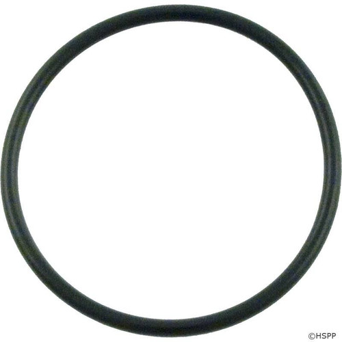 Sta-Rite 35505-1243 Stand Pipe O-Ring