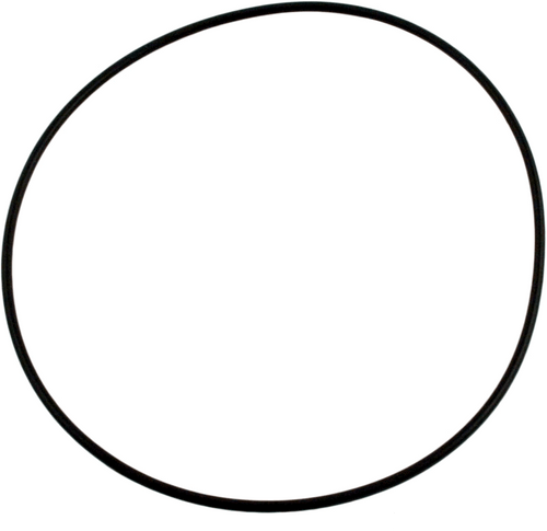 Pentair Sta-Rite 271151 Valve Top Cover O-Ring