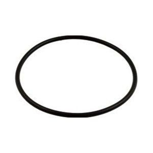 Hayward SX200Z6 Filter Lid O-Ring for S200 / S240 / S160T