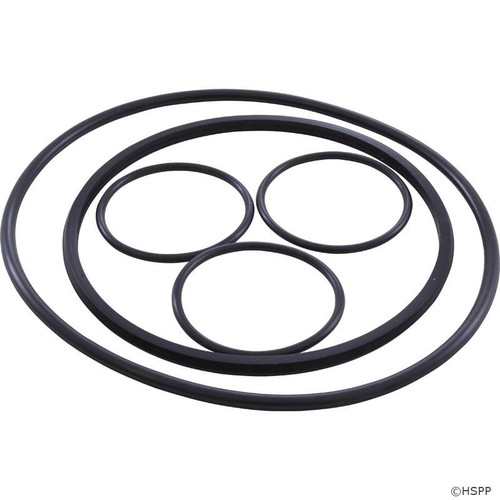 Hayward VLX4004A O-Ring Kit for VL Series Filters
