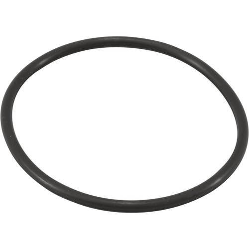 Jandy TruClear R0694100 Cell O-Ring