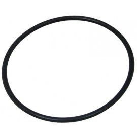 Jandy R0412700 AquaPure Union O-Ring - 2 Inch