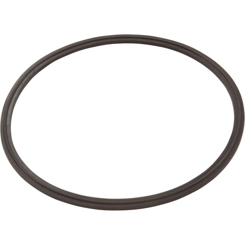 Zodiac R0623300 Leaf Catcher Seal for Cyclonic Leaf Catcher