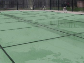16 ft x 34 ft Light Weight Solid Pool Safety Cover - Green - 20 yr Warranty