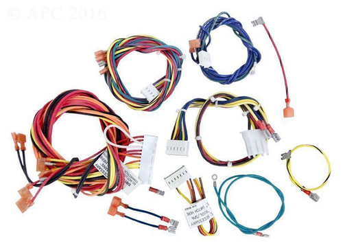 Raypak 006738F Heater Wire Harness IID