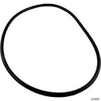 Waterway ProClean Filter Lid O-Ring 805-0448