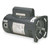 USQ1252 Pool Pump Motor 48Y Frame 2.5 HP Square Flange 230V