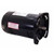 Q3152 Pool Pump Motor 48Y Frame 1.5 HP Square Flange 3-Phase 208-230/460V