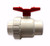 Jandy 2" Gold Standard Union Ball Valve 6957