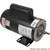 BN61 2-Speed 2 HP Pump Motor 48Y Frame Thru-Bolt Energy Efficient 230V