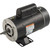 BN61 2-Speed 2 HP Pump Motor 48Y Frame Thru-Bolt Energy Efficient 230V
