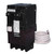 Pentair PA220GF 2 Pole 20 Amp GFCI Breaker