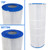 Jandy CS100 Pool Filter Cartridge R0462200 - FC-0821