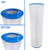 Jandy CJ250 Pool Filter Cartridge R0556700 - FC-0830 - C-9422
