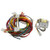 Pentair MasterTemp / Sta-Rite Max-E-Therm Wiring Harness - 42001-0104S
