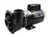 Waterway Executive 3 HP 2-Speed 230V Spa Pump - 56 Frame - 3721221-1D