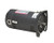 SQ1072 Pool Pump Motor 48Y Frame 3/4 HP Square Flange 115/230V