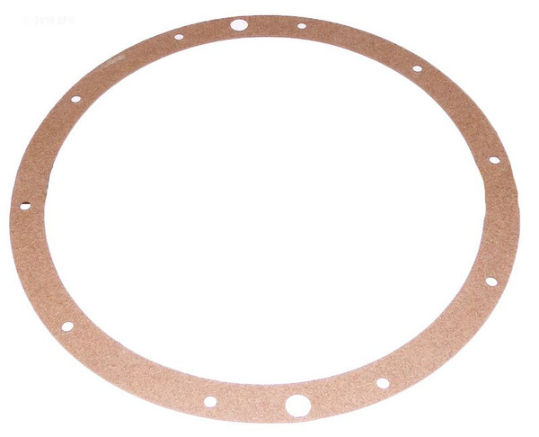 Hayward SPX0506D AstroLite Light Niche Gasket