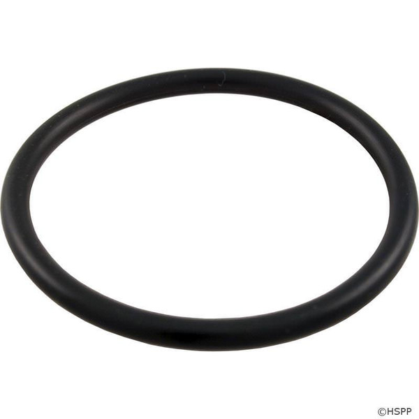 Pentair Mytilus 1.5 Inch Bulkhead O-Ring 154491