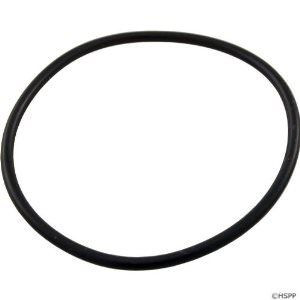 Pentair 59000600 Bulkhead / Standpipe O-Ring for FNS Plus