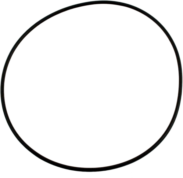 Pentair Sta-Rite 271151 Valve Top Cover O-Ring