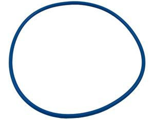 Hayward CX400G Northstar Lid O-Ring (Prior to 2003)